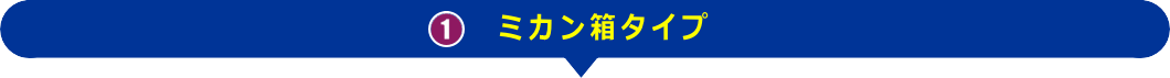 ミカン箱タイプ