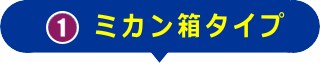 ミカン箱タイプ